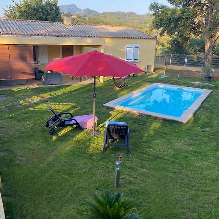 Ferienwohnung Agreable Rez De Jardin Avec Piscine Et Jacuzzi Cervione Exterior foto