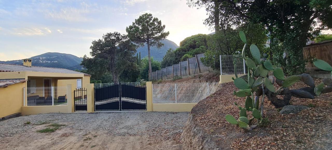 Ferienwohnung Agreable Rez De Jardin Avec Piscine Et Jacuzzi Cervione Exterior foto